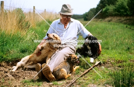 john holmes, animal trainer with three of his dogs