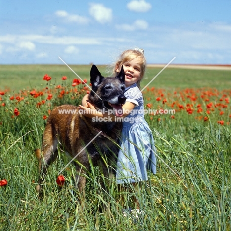 red and helen, girl hugging malinois