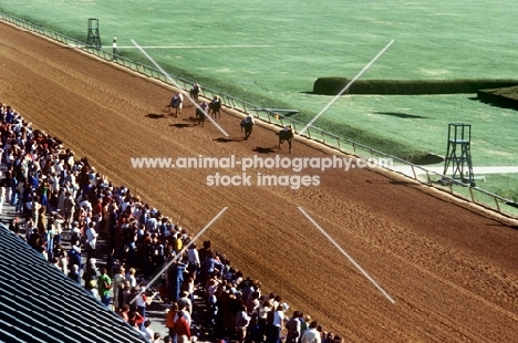 racing at keeneland, kentucky, usa