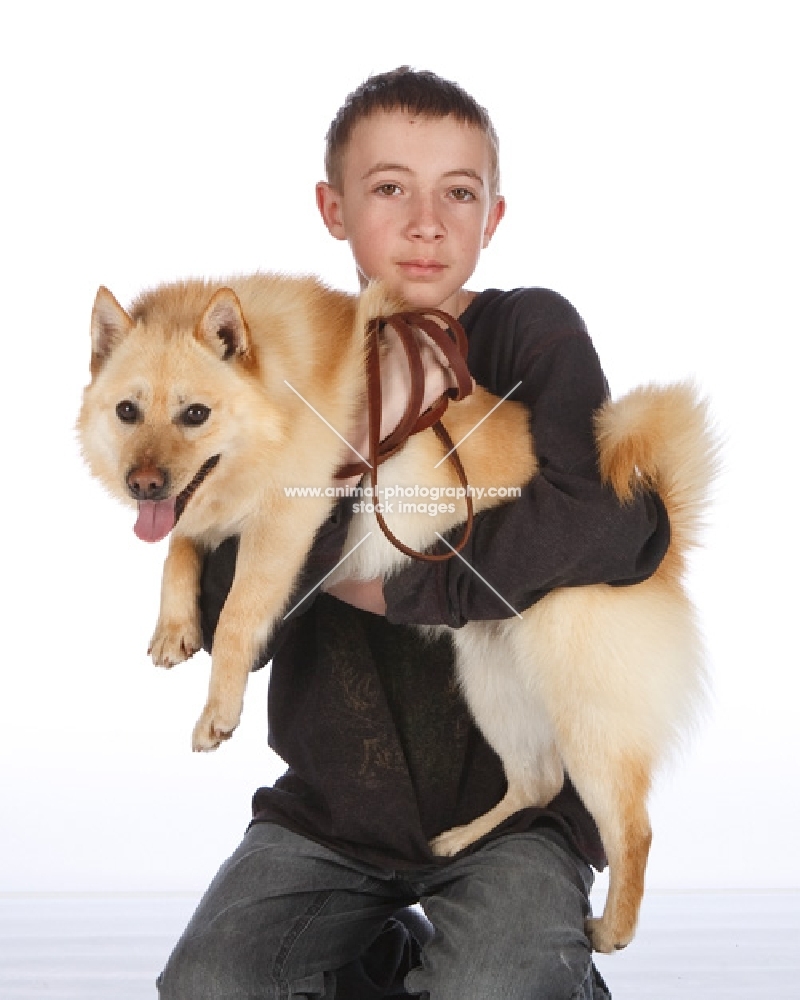 boy carrying Schipperke dog