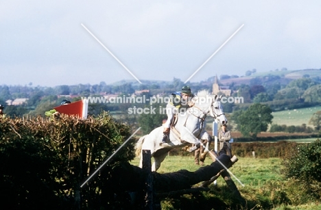 horse and rider in team cross country, team chase