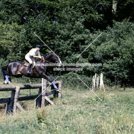 princess anne riding goodwill at cirencester 3 day event 1975, cross country, 