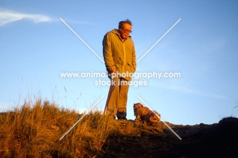 norfolk terrier and man walking at sunset