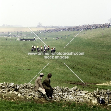 point to point at fox farm, heythrop hunt, 1987
