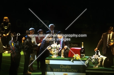 osman sameja interviewed by jessica holm after winning bis at crufts 1997 with ch ozmilion mystification, res american cocker, right
