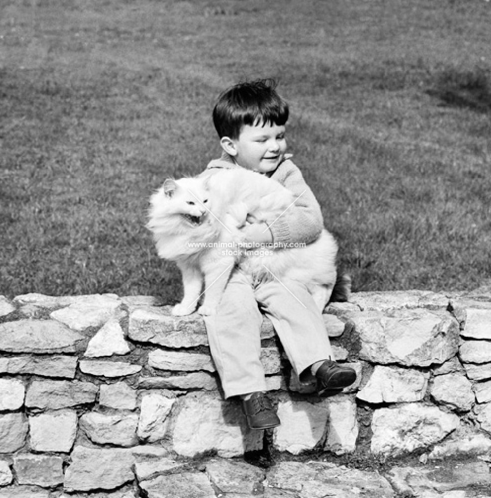 small boy grasping a meowing white cat