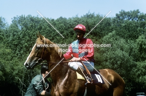 lester piggott at goodwood races