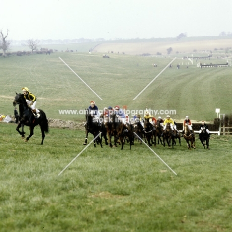point to point at fox farm, 1981
