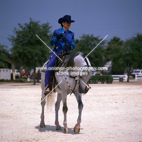 Arab USA western saddle class Tampa show, woman rider