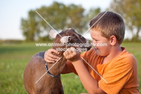 young boy nose to nose with his young Alpine dairy goat 