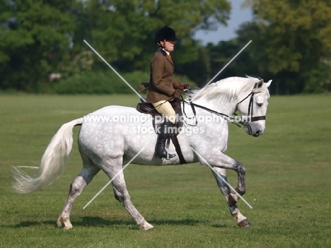 riding a Connemara pony