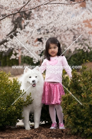 girl with young Samoyed in spring
