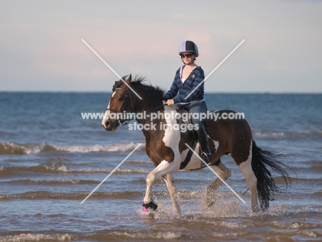 Skewbald horse in sea