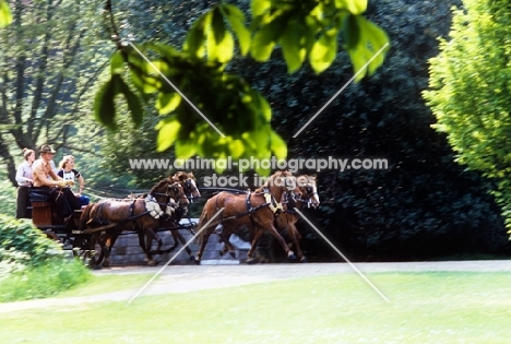 driving competition in windsor great park