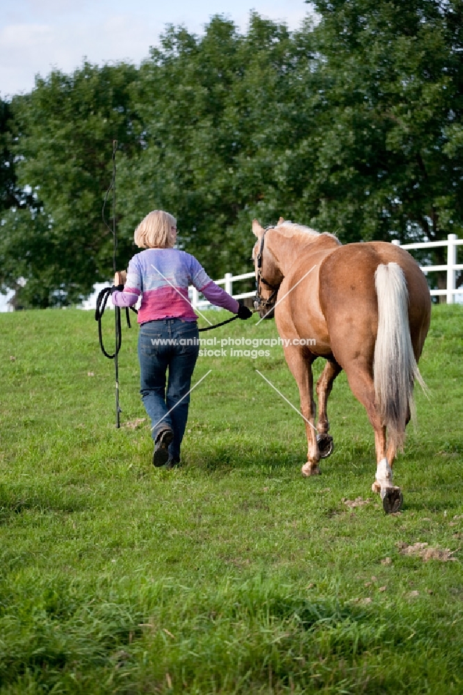 woman walking with Palomino Quarter horse