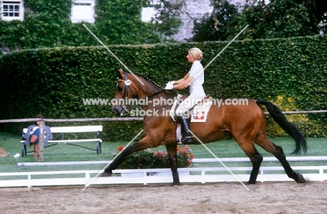 dressage, christine stuckelberger riding granat in practice ring at goodwood
