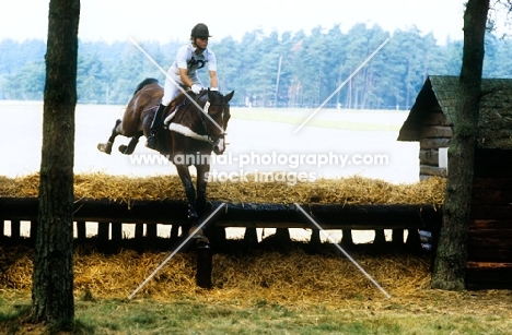 nils haagensen, denmark,  riding monaco in cross country phase at luhmuhlen
