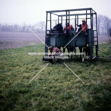 starting stalls, training 