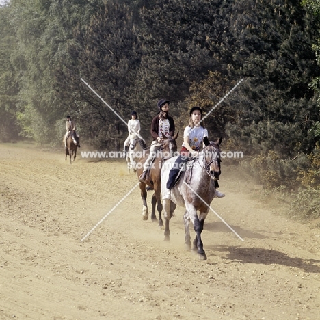 riding in windsor great park
