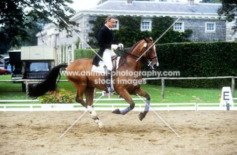 dressage at goodwood, dr. reiner klimke, winner olympic gold 1984 and 1988 in practice ring