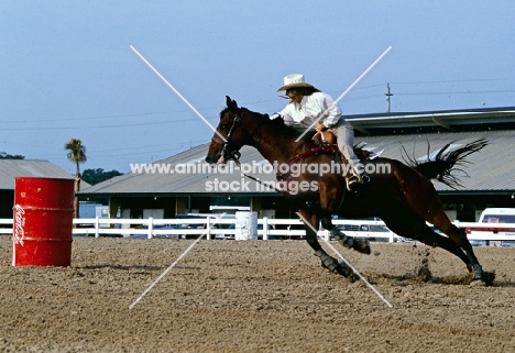 quarter horse barrel racing in usa