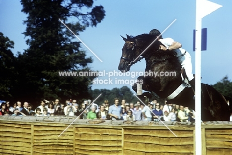 cross country at burley horse trials  