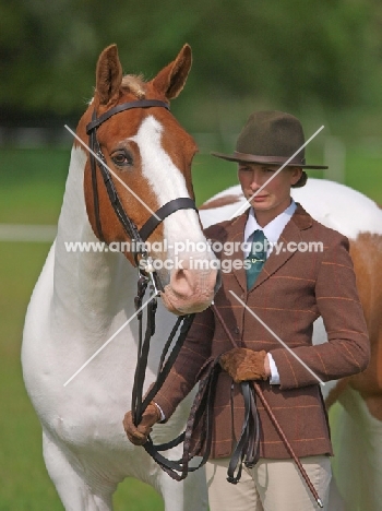 Skewbald horse and woman