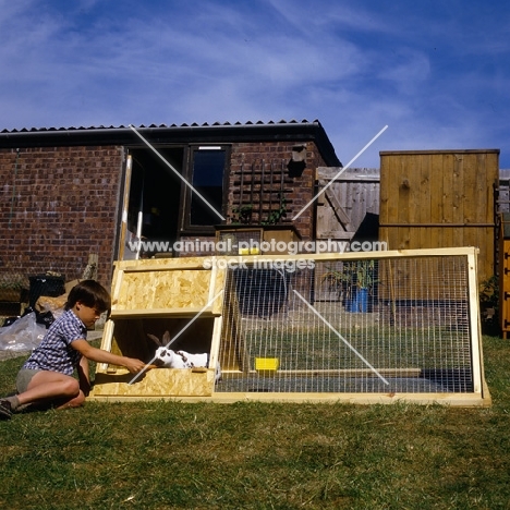 rabbit in morant run with child