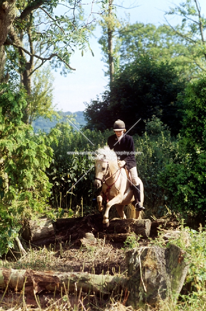 pony and rider jumping logs at pony club camp