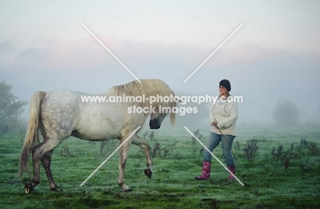 Andalusian in foggy field with woman trainer. 