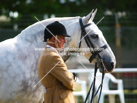 rider with his cob