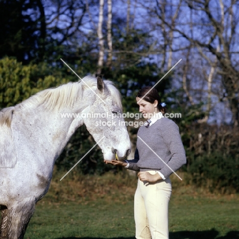 young girl giving her pony a titbit with a flat hand