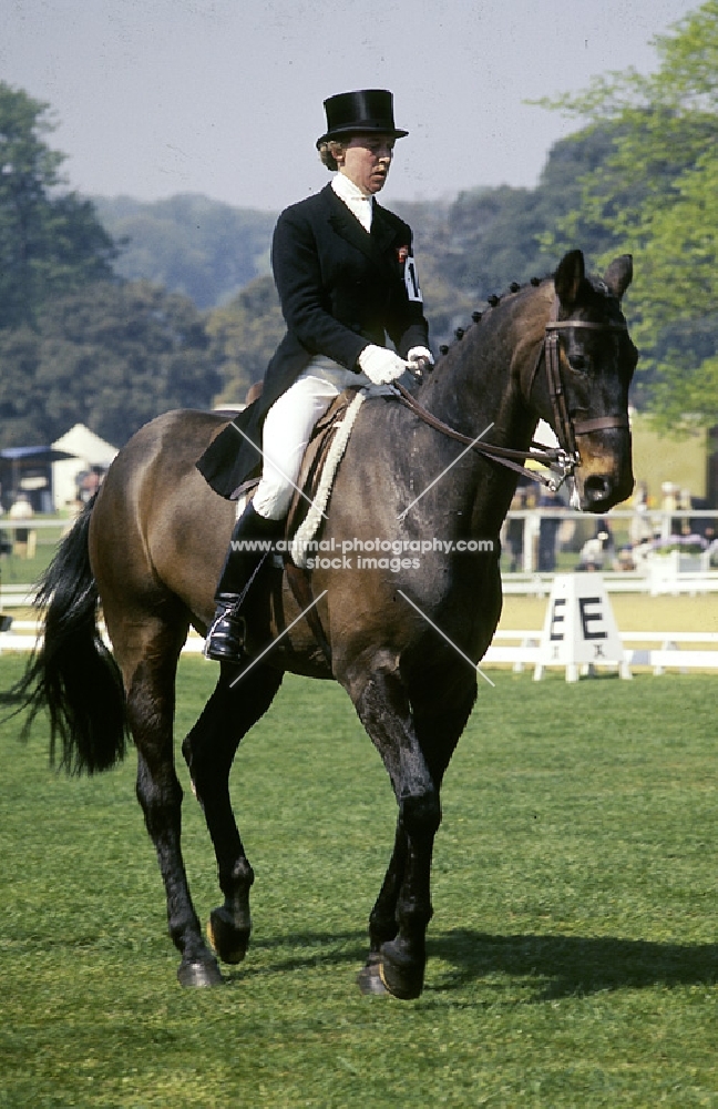 sarah whitmore riding junker,
dressage at goodwood 1976