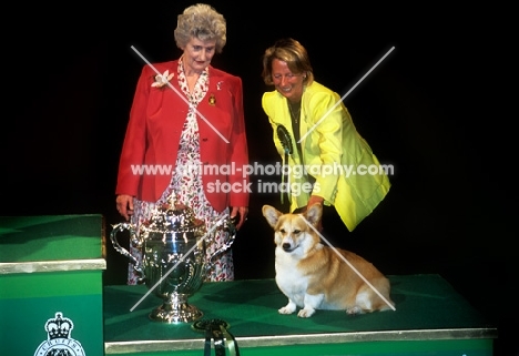 crufts 2001 ann arch judge with reserve bis winner ch penliath shooting star and chris blance