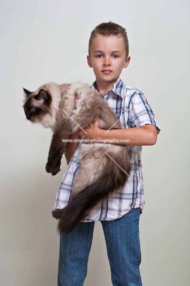 ragdoll being held by a boy