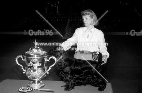 crufts 1996 cocker spaniel sh ch canigou cambrai with tricia bentley after winning bis