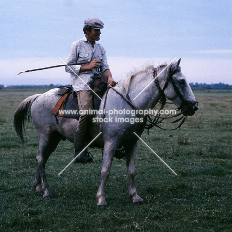 Gardien riding camargue pony