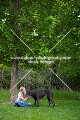 Great Dane standing by woman under a tree.