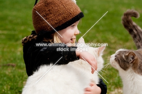 Young girl child holding white cat while a gray and white cat investigates her.