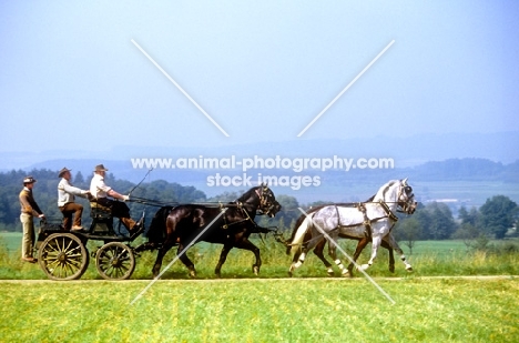 george bowman and his team at driving competition Zug 1981