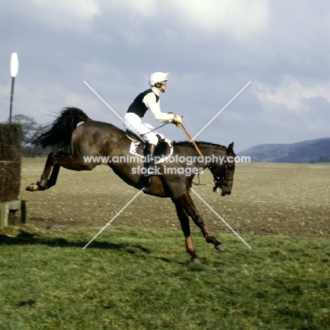 horse landing after jumping in oxford university point to point
