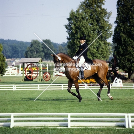 eventing dressage at luhmühlen 