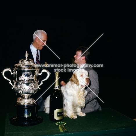 ch raycroft socialite, clumber spaniel, winning BIS crufts 1991 with judge leonard pagliero and owner ralph dunne