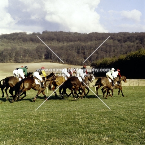 oxford university point to point