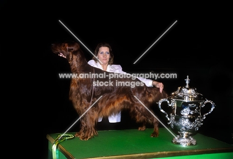 crufts 1999, sh ch caspians intrepid with owner jackie lorimer after winning bis 