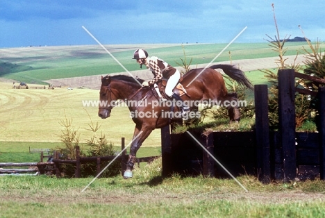 horse jumping a bank at wylye horse trials