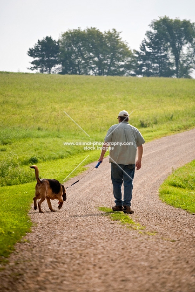man and his bloodhound dog walking away down a gravel road