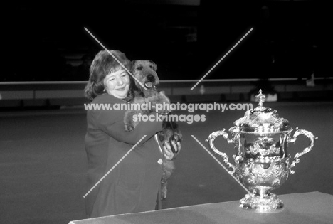 crufts 1998, welsh terrier ch saredon forever young with judy averis after winning bis 