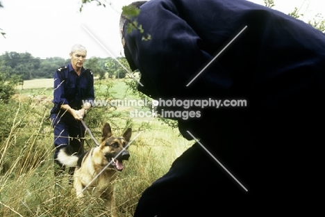 training a german shepherd dog for police work