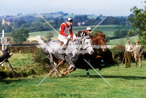 horses and riders in team cross country, team chase,